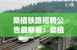 桑植铁路招聘公告最新版：桑植至高铁站公路项目中标单位 