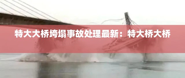 特大大桥垮塌事故处理最新：特大桥大桥 
