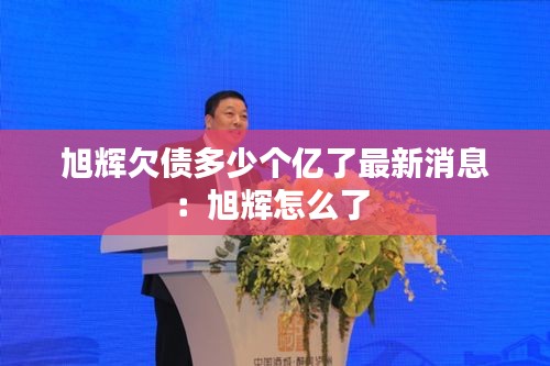 旭辉欠债多少个亿了最新消息：旭辉怎么了 