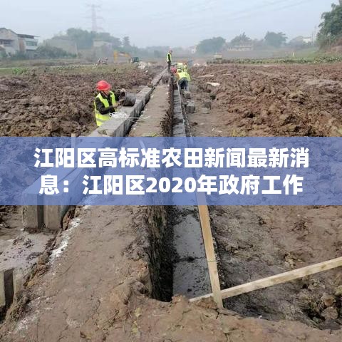江阳区高标准农田新闻最新消息：江阳区2020年政府工作报告 