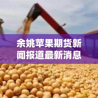 余姚苹果期货新闻报道最新消息：余姚苹果旗舰店 