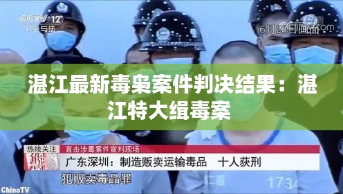湛江最新毒枭案件判决结果：湛江特大缉毒案 