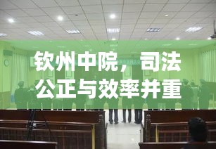 钦州中院，司法公正与效率并重，打造法治化营商新标杆