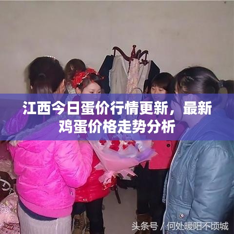 江西今日蛋价行情更新，最新鸡蛋价格走势分析
