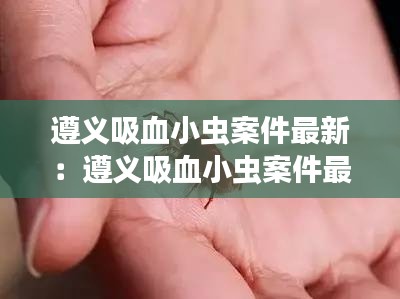 遵义吸血小虫案件最新：遵义吸血小虫案件最新进展 
