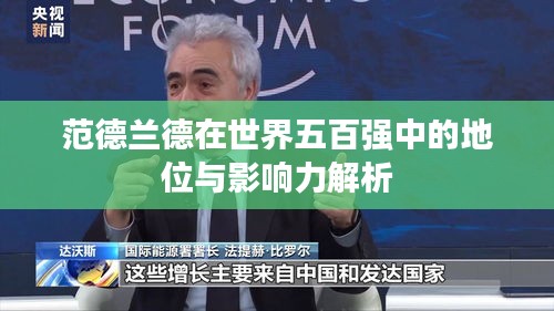 范德兰德在世界五百强中的地位与影响力解析