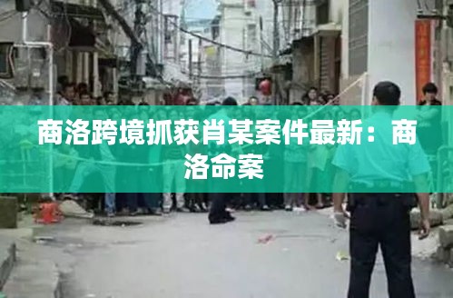 商洛跨境抓获肖某案件最新：商洛命案 