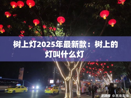 树上灯2025年最新款：树上的灯叫什么灯 