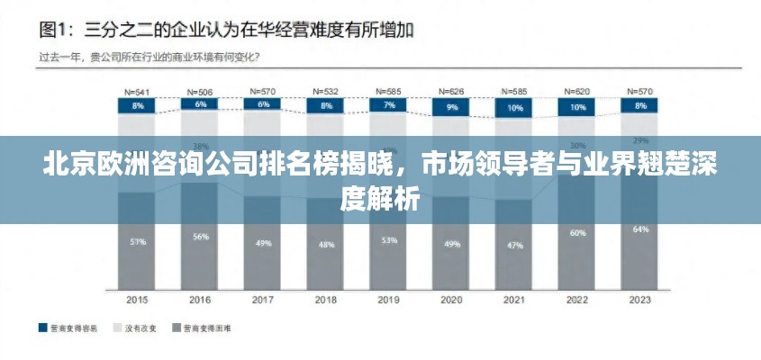北京欧洲咨询公司排名榜揭晓，市场领导者与业界翘楚深度解析