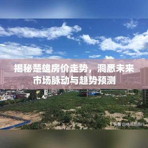 飞扬拨扈 第3页