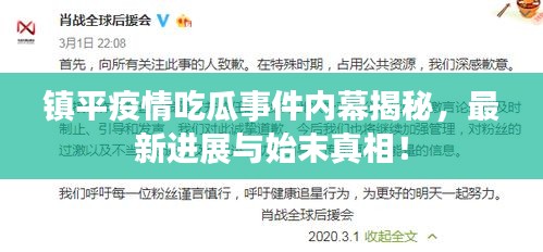 镇平疫情吃瓜事件内幕揭秘，最新进展与始末真相！