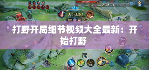 打野开局细节视频大全最新：开始打野 