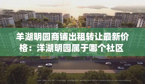 羊湖明园商铺出租转让最新价格：洋湖明园属于哪个社区 