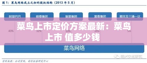 菜鸟上市定价方案最新：菜鸟上市 值多少钱 