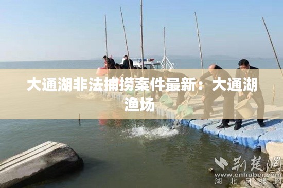 大通湖非法捕捞案件最新：大通湖渔场 