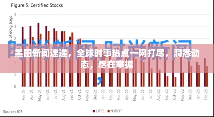 囫囵吞枣 第2页