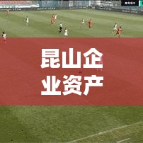 昆山企业资产排名大揭秘，谁是领头羊？