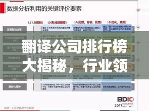 翻译公司排行榜大揭秘，行业领军者的权威实力与影响力评估！