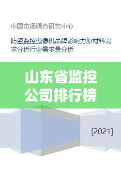 山东省监控公司排行榜及行业影响力分析