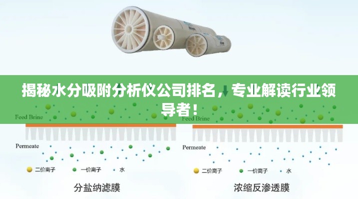 揭秘水分吸附分析仪公司排名，专业解读行业领导者！