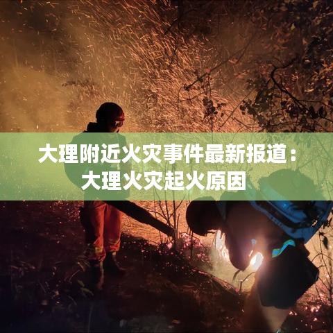 对答如流 第3页