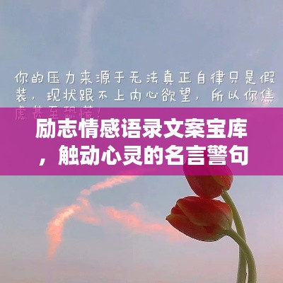 励志情感语录文案宝库，触动心灵的名言警句