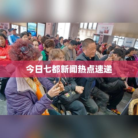 今日七都新闻热点速递