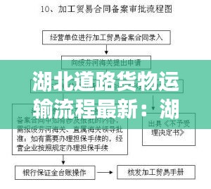 湖北道路货物运输流程最新：湖北道路运政网 