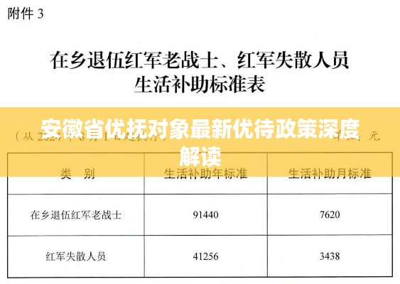 安徽省优抚对象最新优待政策深度解读