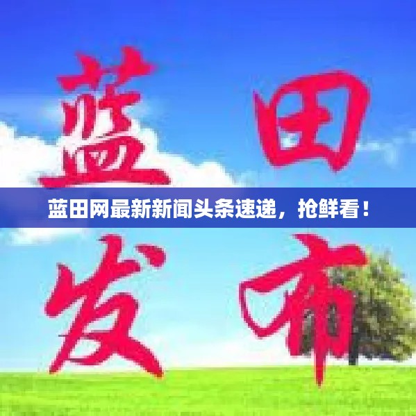 蓝田网最新新闻头条速递，抢鲜看！