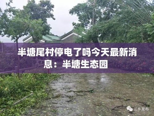 半塘尾村停电了吗今天最新消息：半塘生态园 