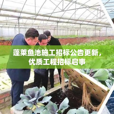 蓬莱鱼池施工招标公告更新，优质工程招标启事