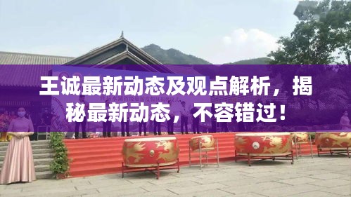 王诚最新动态及观点解析，揭秘最新动态，不容错过！