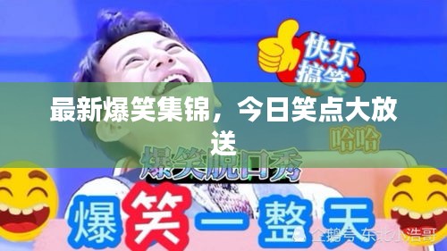 最新爆笑集锦，今日笑点大放送