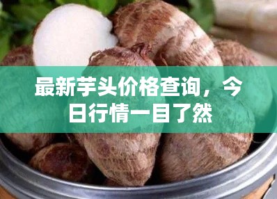 最新芋头价格查询，今日行情一目了然