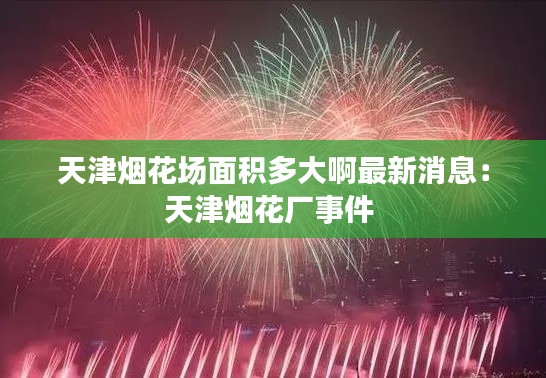 天津烟花场面积多大啊最新消息：天津烟花厂事件 