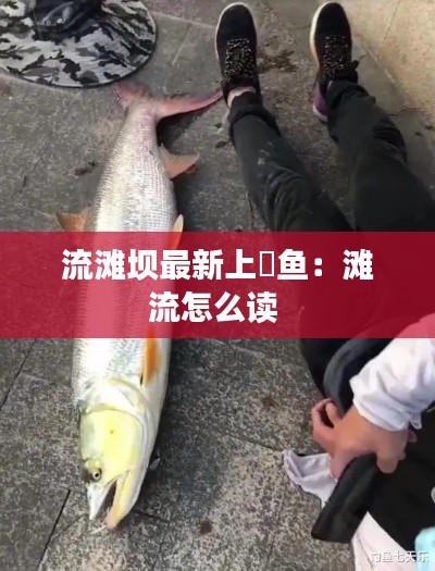 流滩坝最新上鳡鱼：滩流怎么读 