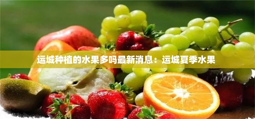 运城种植的水果多吗最新消息：运城夏季水果 