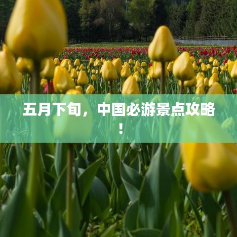 娇小玲珑 第2页