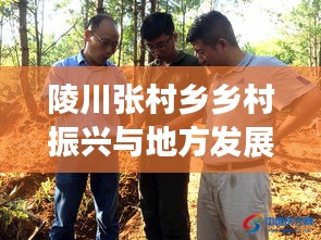 陵川张村乡乡村振兴与地方发展动态新闻速递