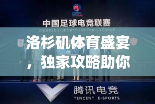 洛杉矶体育盛宴，独家攻略助你畅游运动天地！