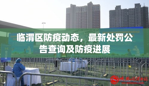 临渭区防疫动态，最新处罚公告查询及防疫进展