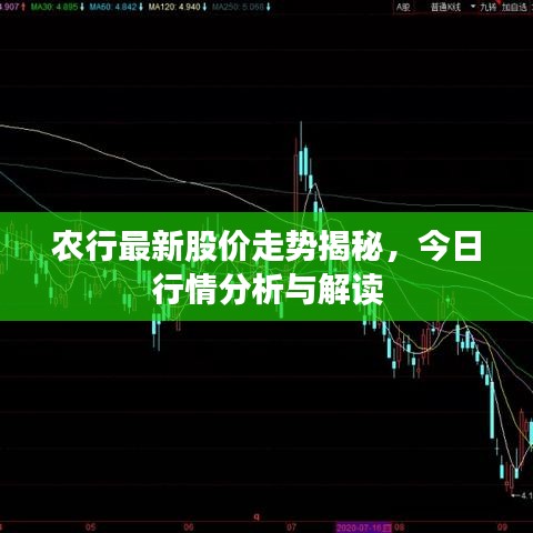 农行最新股价走势揭秘，今日行情分析与解读
