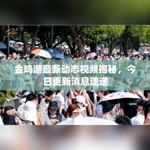 金鸡湖最新动态视频揭秘，今日更新消息速递