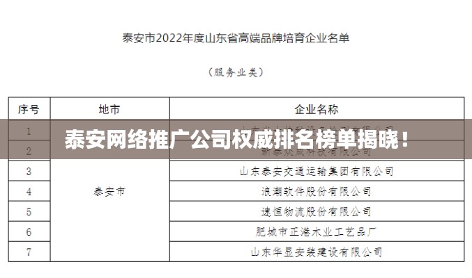泰安网络推广公司权威排名榜单揭晓！