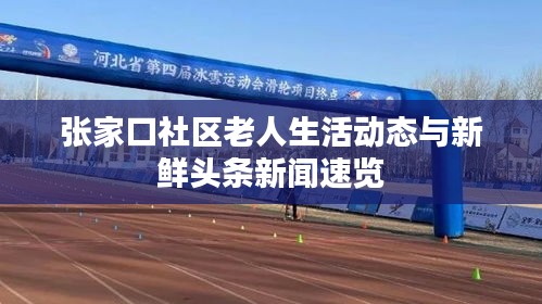 张家口社区老人生活动态与新鲜头条新闻速览