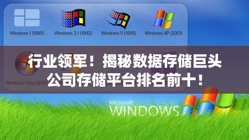 行业领军！揭秘数据存储巨头公司存储平台排名前十！
