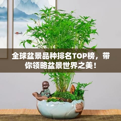 全球盆景品种排名TOP榜，带你领略盆景世界之美！