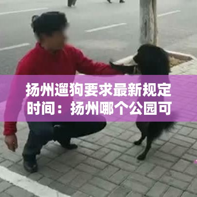 扬州遛狗要求最新规定时间：扬州哪个公园可以遛狗 