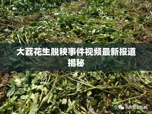 大荔花生脱秧事件视频最新报道揭秘